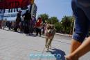 Las caras de una ciudad convulsionada
