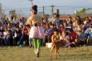 Estelar funcin de Chaque el Circo en Vacaciones