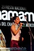 FESTIVAL DEL CHAMAM: Postales de la noche del Miercoles