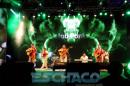 FIESTA DEL CHAMAM: Postales del da Miercoles II