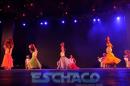 FIESTA DEL CHAMAM: Postales del da Miercoles II
