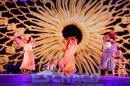 FIESTA DEL CHAMAM: Postales del da Miercoles II
