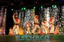 FIESTA DEL CHAMAM: Postales del da Miercoles II