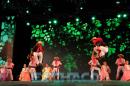FIESTA DEL CHAMAM: Postales del da Miercoles II