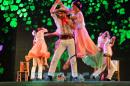 FIESTA DEL CHAMAM: Postales del da Miercoles II