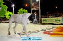 Supercarnavales: 3 noche de competencia. Parte I