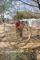 Bienal: Da V