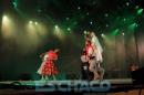 Fiesta del Chamam: Postales del da Jueves