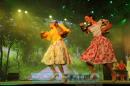 Fiesta del Chamam: Postales del da Jueves