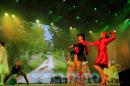Fiesta del Chamam: Postales del da Jueves