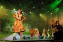 Fiesta del Chamam: Postales del da Jueves