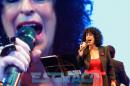 Fiesta del Chamam: Postales del da Jueves II