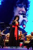Fiesta del Chamam: Postales del da Jueves II