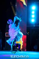 24 Fiesta Nacional del Chamam en Corrientes. Postales de la Dcima luna