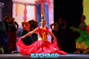 24 Fiesta Nacional del Chamam en Corrientes. Postales de la Dcima luna