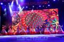 Apertura de la 25 Fiesta Nacional del Chamam en Corrientes