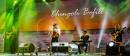 Experiencia Chamam: Noche del Mircoles 17