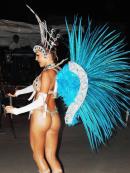 Carnavales de Charata