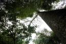 Eschaco en Colonia Bentez