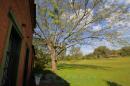 Eschaco en Colonia Bentez