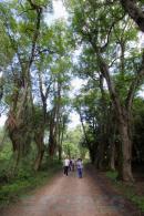Eschaco en Colonia Bentez