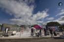 Te recomendamos estas actividades en la #BienalDelChaco