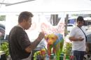 Pintando a Fernando II