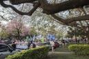 Lo que dej la tercera marcha universitaria en Chaco