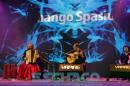 Fiesta del Chamam: Postales del da Viernes