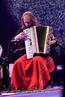 Fiesta del Chamam: Postales del da Viernes II