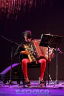 Fiesta del Chamam: Postales del da Viernes II