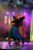 Fiesta del Chamam: Postales del da Viernes II