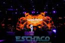 Fiesta del Chamam: Postales del da Viernes II