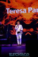 Fiesta del Chamam: Postales del da Viernes II