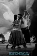 Fiesta del chamam: La magia IMAGUAR