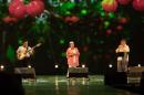 Imgenes de la noche inaugural de la 30 Festival Nacional del Chamam