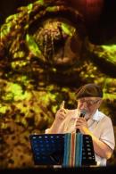 Imgenes de la noche inaugural de la 30 Festival Nacional del Chamam