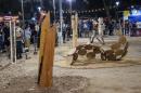 #BienalDelChaco: Premio Desafo Hierros Lder