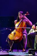 Postales del Festival del Chamam: Sbado