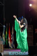 Postales del Festival del Chamam: Sbado
