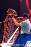Postales del Festival del Chamam: Sbado
