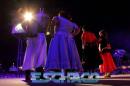 Postales del Festival del Chamam: Sbado