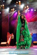 Postales del Festival del Chamam: Sbado