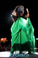 Postales del Festival del Chamam: Sbado