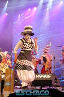 Postales del Festival del Chamam: Sbado