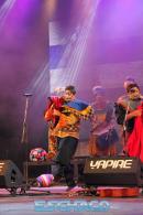 Postales del Festival del Chamam: Sbado
