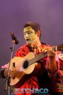 Postales del Festival del Chamam: Sbado
