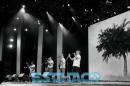 Postales del Festival del Chamam: Sbado II