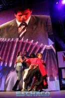 Postales del Festival del Chamam: Sbado II