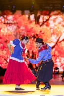 Fiesta del chamam�: Postales de la tercera noche